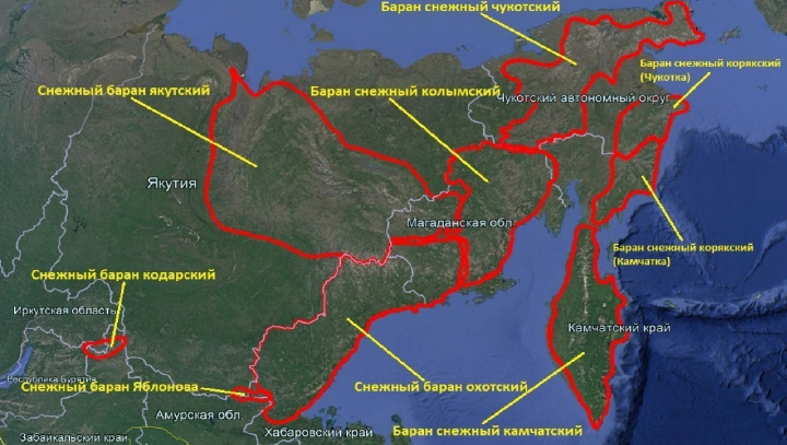 010 017019 02